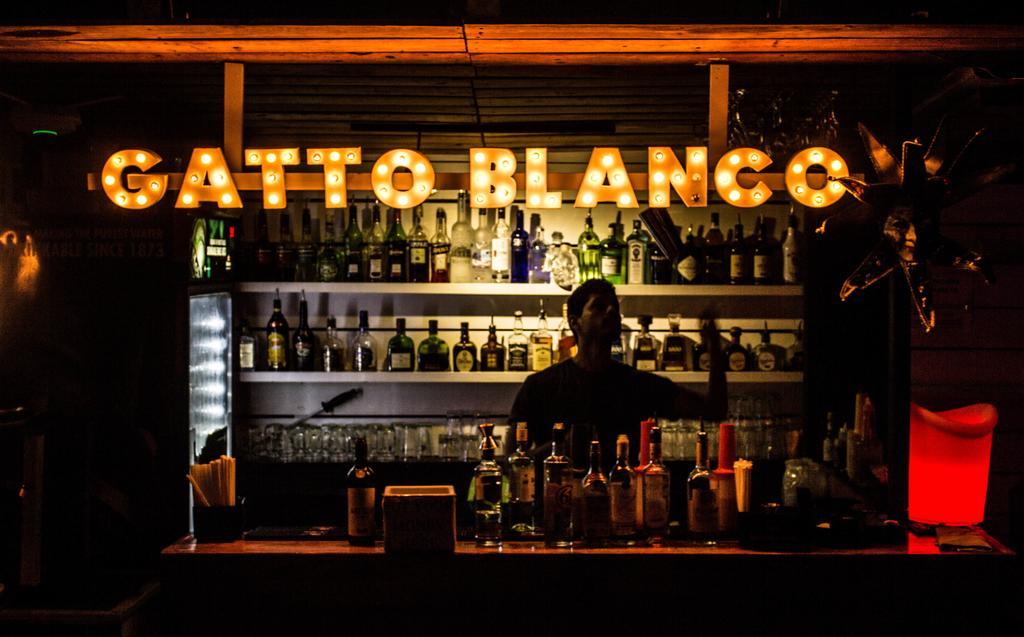 Gatto Blanco Party Hotel Panama Dış mekan fotoğraf